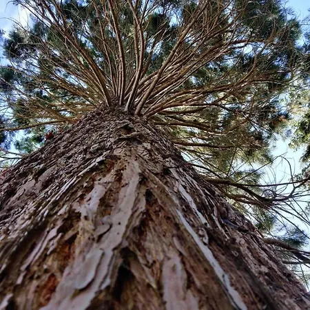 Naturidyll Mariendorf - Hagensche Wiek Apartman *